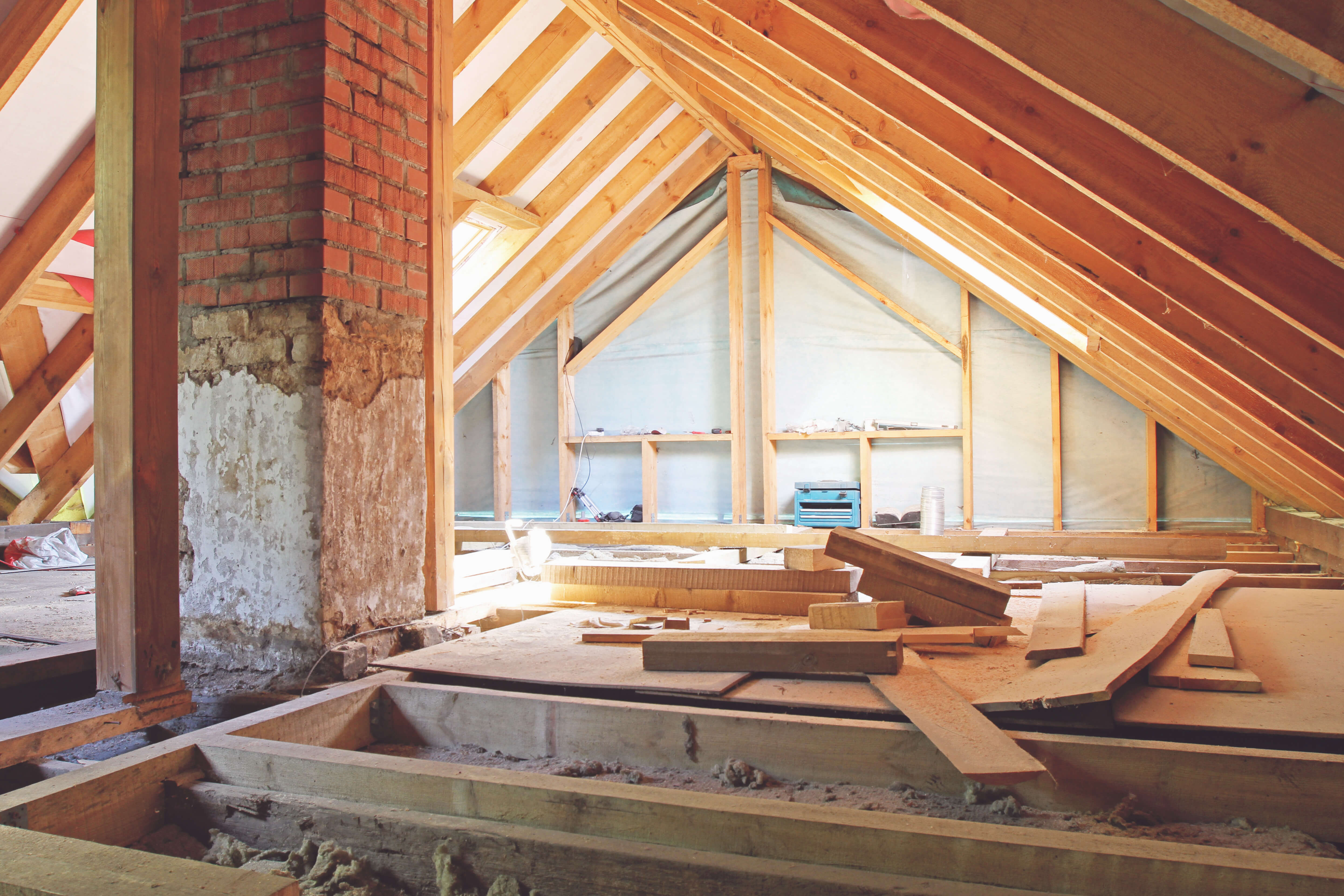 How to Rodent-Proof Your Attic