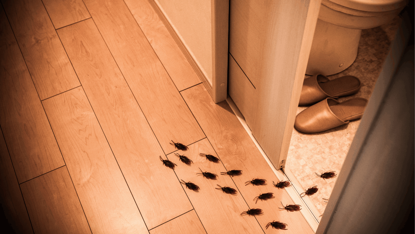 The Top 5 Most Common Household Pests and How to Prevent Them in Georgia