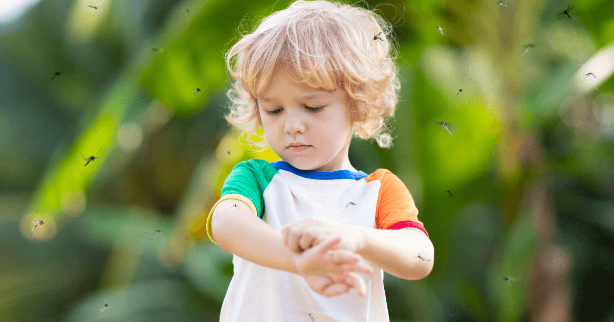 Say Goodbye to Mosquitoes and Gnats in Macon: Essential Tips for a Bite-Free Summer